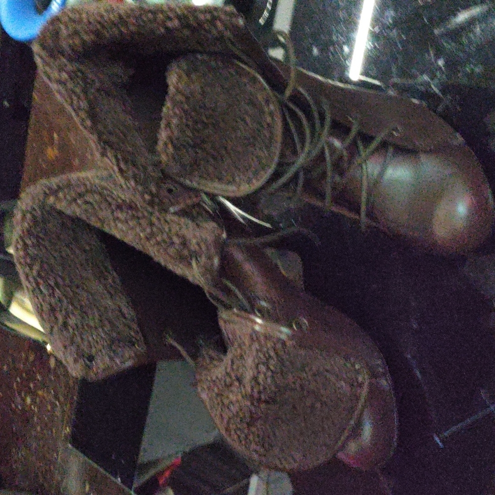 Fancy little boots